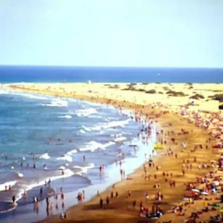 Precioso 12 By Casas Cocodrilo *