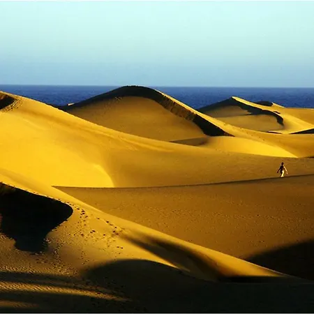 Daire Precioso 12 By Casas Cocodrilo *