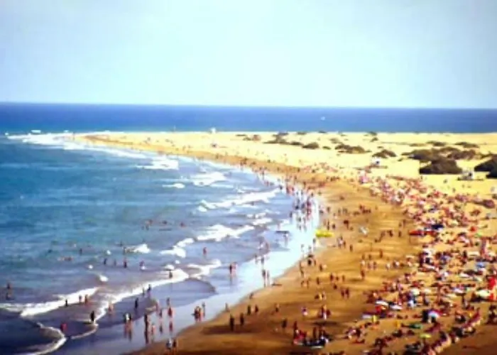 Precioso 12 By Casas Cocodrilo *