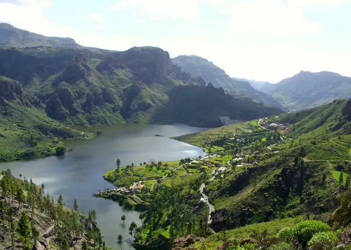 Precioso 12 By Casas Cocodrilo